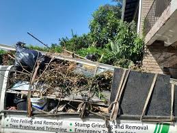 Best Basement Cleanout  in Lewiston, ID