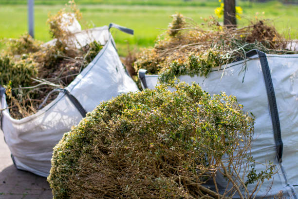 Best Recycling Services for Junk  in Lewiston, ID